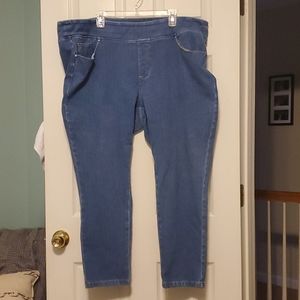 Belle by Kim Gravel medium wash Jeans size 24W